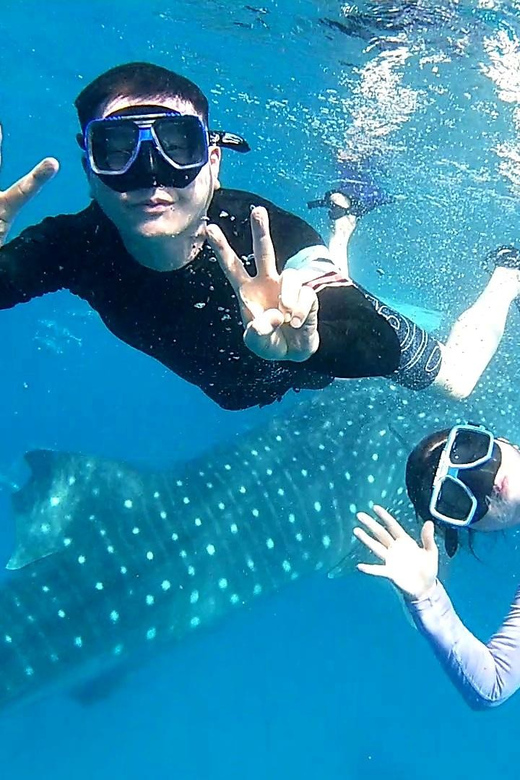 Cebu: Whale Shark Swim in Oslob & Aguinid Falls Canyoneering - Pickup and Drop-off Locations