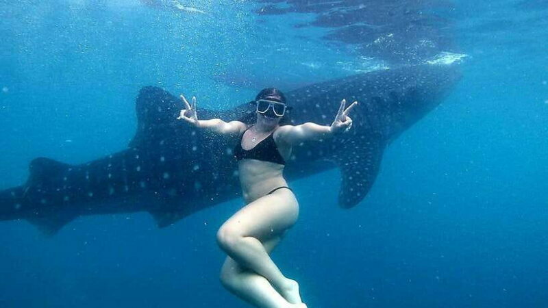 Cebu: Whale Shark Swim, Kawasan Falls & Moalboal Sardine Run - Exploring Cebu: A Closer Look at the Day