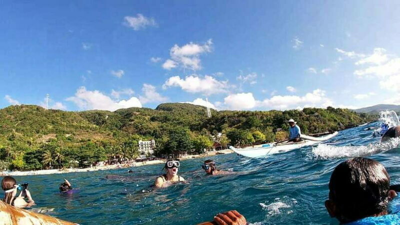 Cebu: Whale Shark Swim, Kawasan Falls & Moalboal Sardine Run - Frequently Asked Questions