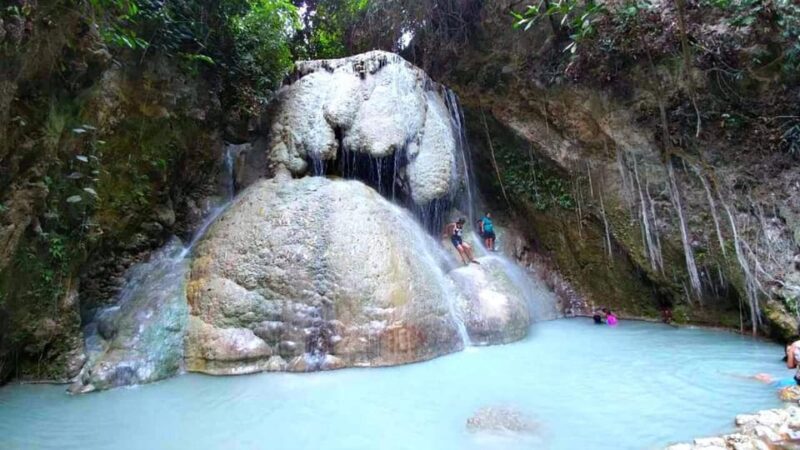 Cebu: Whale Shark Watching and Aguinid Falls Adventure - What to Bring and Know