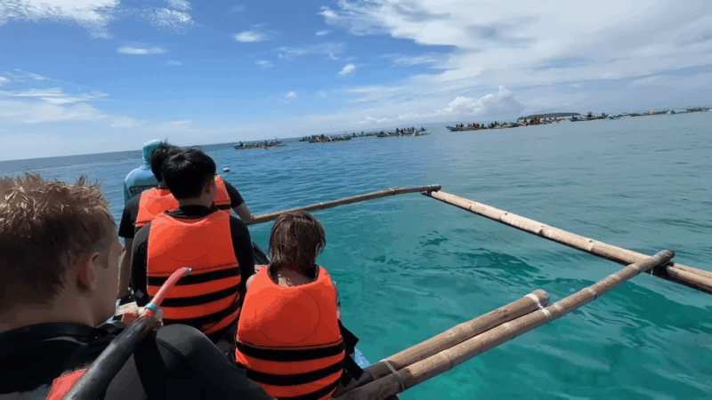 Cebu: Whale Shark Watching, Tumalog Falls & Sumilon Island - Itinerary and Highlights
