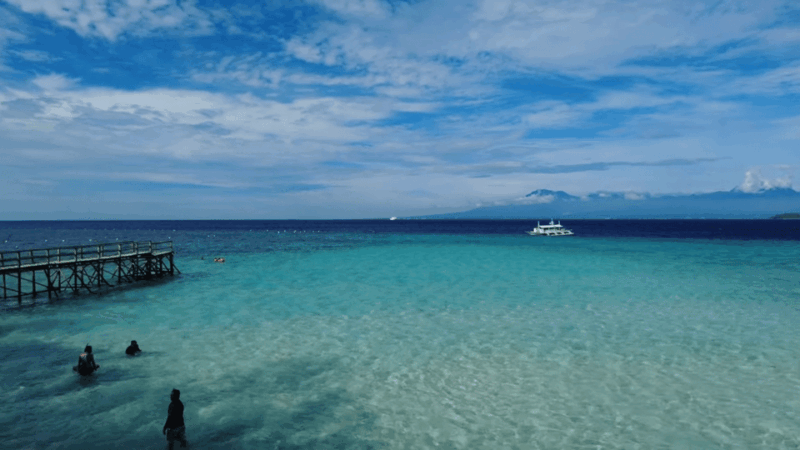 Cebu: Whale Shark Watching, Tumalog Falls & Sumilon Island - Transportation and Logistics
