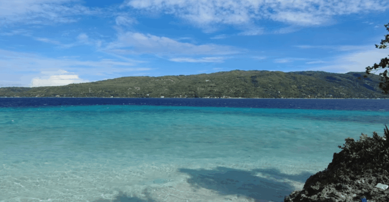 Cebu: Whale Shark Watching, Tumalog Falls & Sumilon Island - Suitable Participants
