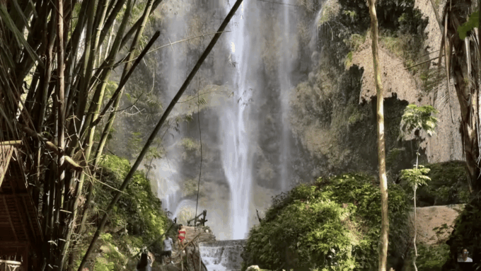 Cebu: Whale Shark Watching, Tumalog Falls & Sumilon Island - Sandbar Maintenance