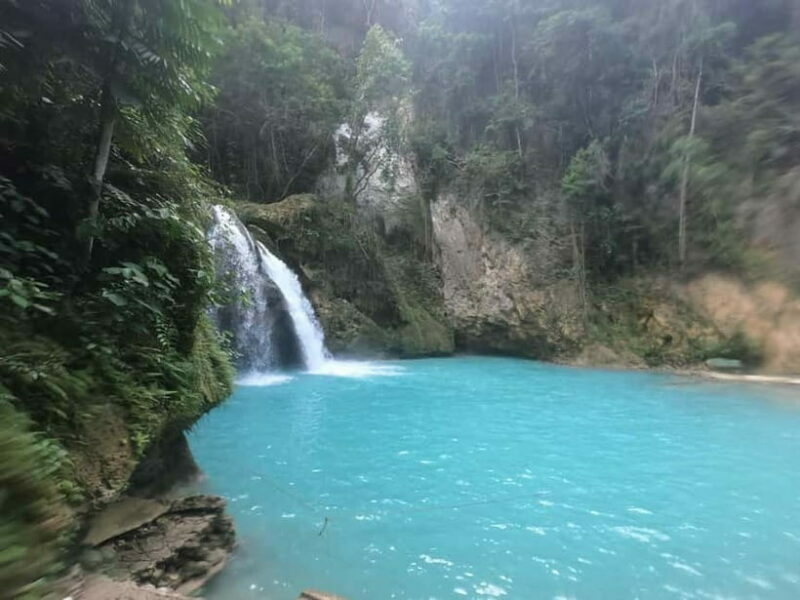 Cebu: Whale Sharks, Kawasan Falls, & Sardines Run Snorkeling - The Sum Up