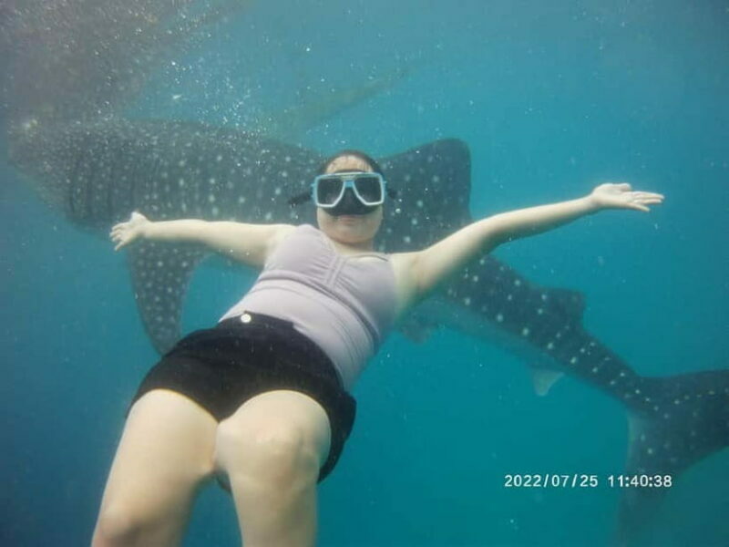 Cebu: Whale Sharks, Kawasan Falls, & Sardines Run Snorkeling - FAQ