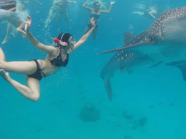 Cebu: Whale Sharks, Tumalog Falls & Sumilon Sand Bar Tour - Discover Sumilon Island