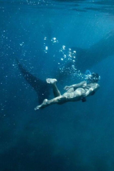 Cebu: Whale Sharks, Tumalog Falls & Sumilon Sand Bar Tour - Important Information