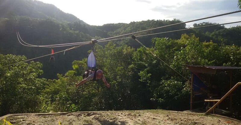 Cebu: Whales Shark Swim and Kawasan Canyoneering Tour - Itinerary and Activities