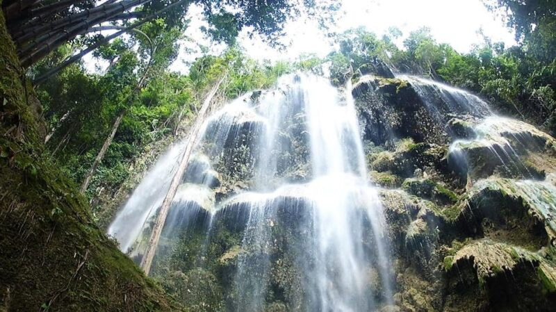Cebu: Whaleshark Encounter, Tumalog Falls, & Monkey Viewing - Key Points