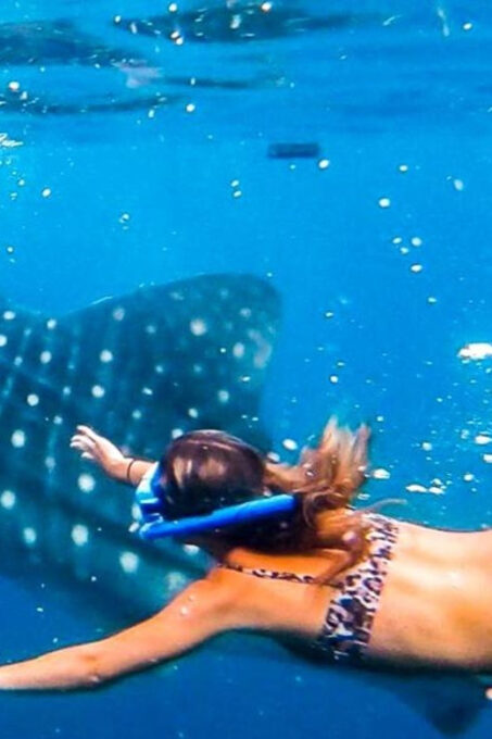 Cebu: Whaleshark Encounter, Tumalog Falls, & Monkey Viewing - Pickup and Drop-off Locations