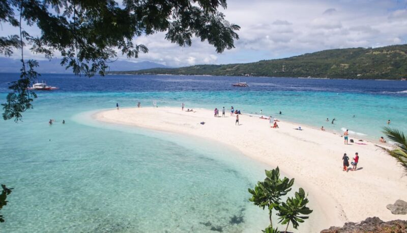 Cebu: Whaleshark Encounter, Tumalog Falls & Sumilon Sandbar - Highlights and Attractions
