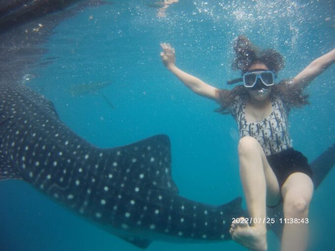 Cebu: Whaleshark Encounter, Tumalog Falls & Sumilon Sandbar - Whale Shark Swimming Policy