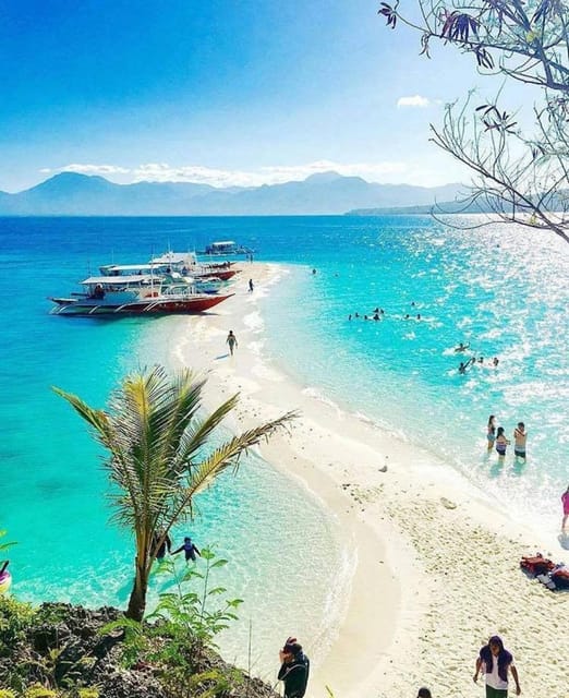 Cebu: Whaleshark Encounter, Tumalog Falls & Sumilon Sandbar - Guest Reviews and Ratings