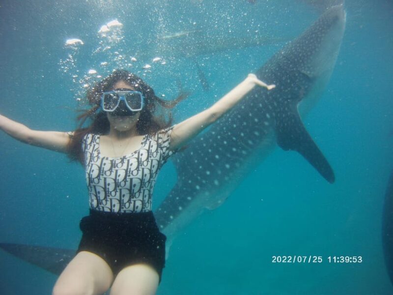 Cebu: Whaleshark, Sumilon Island & Sardines Run Snorkel - Itinerary Details