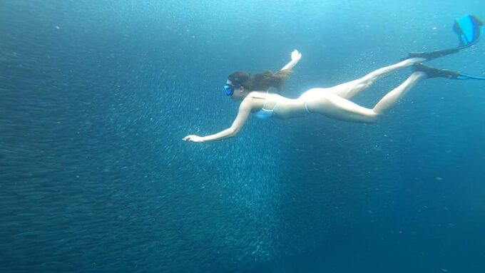 Cebu: Whaleshark Watching and Sardines Run Snorkeling Tour - Conservation Efforts and Sustainability