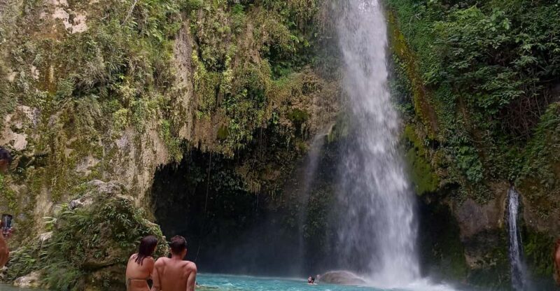 Cebu: Whaleshark Watching & Inambakan Falls - Pickup and Itinerary