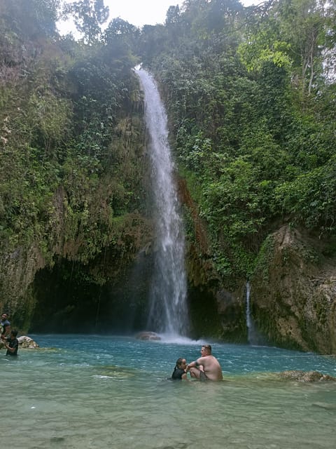 Cebu: Whaleshark Watching & Inambakan Falls - Frequently Asked Questions