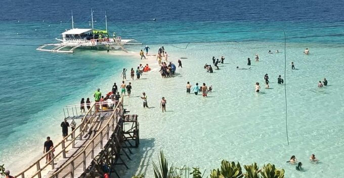 Cebu: Whaleshark Watching, Sumilon Island, and Moalboal… - Inclusions and Exclusions