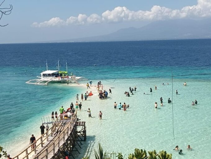 Cebu: Whaleshark Watching, Sumilon Island, and Moalboal… - Customer Reviews