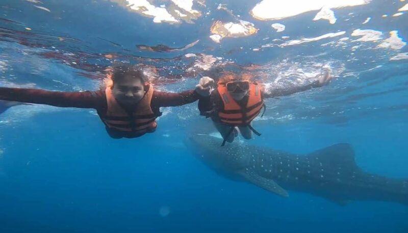 CEBU: Whaleshark Watching + Sumilon Sand Bar + Tumalog Falls - Itinerary and Highlights