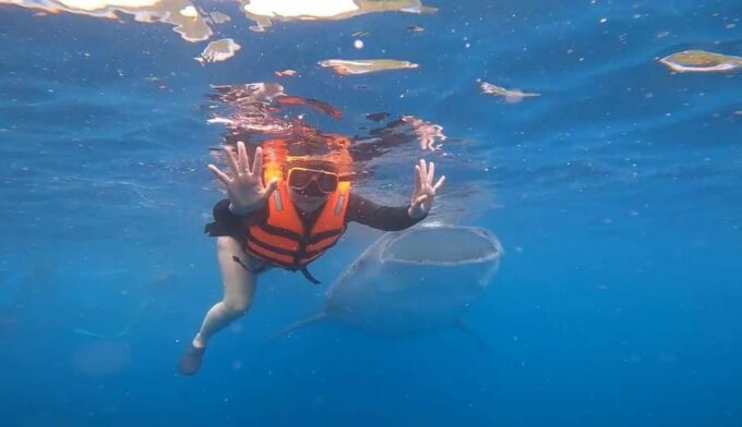 CEBU: Whaleshark Watching + Sumilon Sand Bar + Tumalog Falls - Tumalog Falls