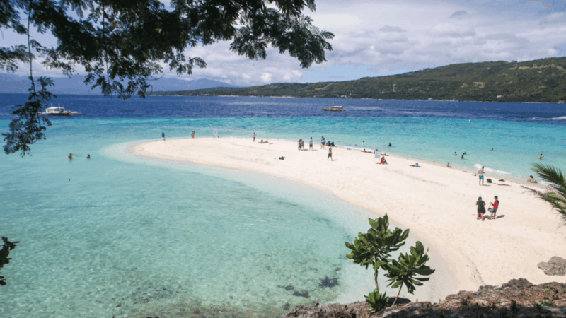 Cebu Whaleshark, White Sand Beach Sumilon Island and Falls - Key Points