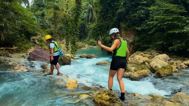 Cebu:Oslob Whale Shark Swimming & Kawasan Falls Canyoneering - Key Points