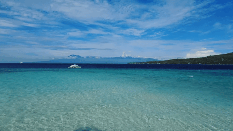 Cebu:Oslob Whales,Sumilon Island & Inambakan Falls Adventure - Additional Information