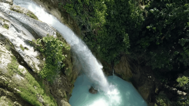 Cebu:Oslob Whales,Sumilon Island & Inambakan Falls Adventure - Pickup Locations