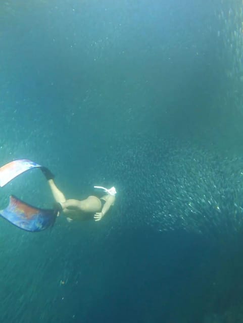 Cebu:Osmena Peak & Moalboals Snorkeling Pescador Expedition - Scenic Hike to Osmena Peak