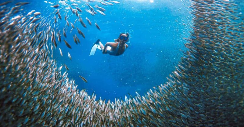 Cebu:Sardine Run Snorkeling, Mantayupan Falls & ATV Thrills - ATV Adventure