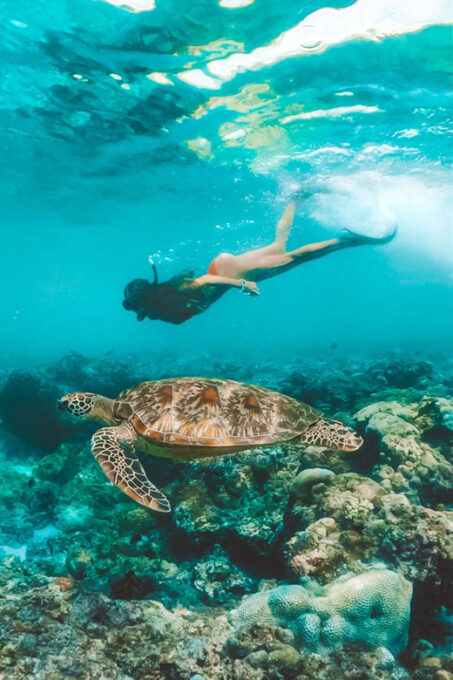 Cebu:Sardine Run Snorkeling, Mantayupan Falls & ATV Thrills - What to Bring