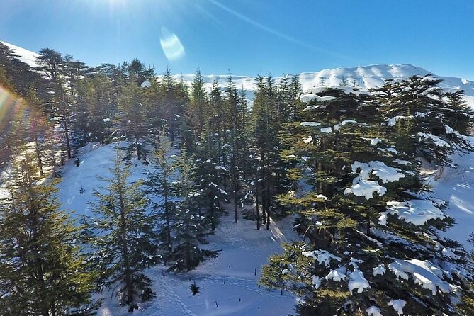 Cedars of Lebanon, Qozhaya, & Bcharre - With Lunch (4G on Board) - Included Amenities