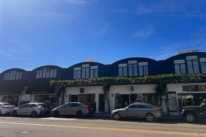 Cedros Avenue Design District Walking Tour San Diego - Accessibility and Participation