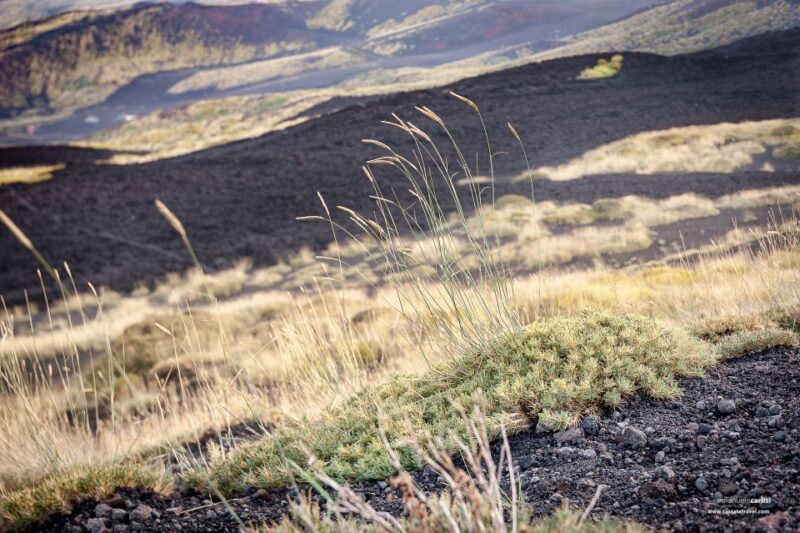 Cefalù: Mount Etna to 1900-Meters and Taormina Tour - Suitability and Restrictions