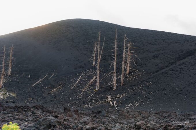 Cefalù: Mount Etna to 1900-Meters and Taormina Tour - Recap