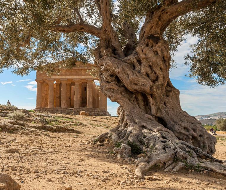 Cefalù: Temples Valley and Scala Dei Turchi Tour - Key Points