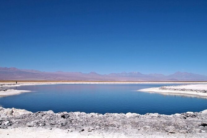 Cejar Lagoon and Ojos Del Salar With Tebinquiche Tour - Inclusions and Exclusions