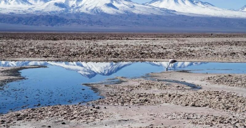 Cejar Lagoon, Eyes of the Salt Flat and Tebinquinche Lagoon - Key Points
