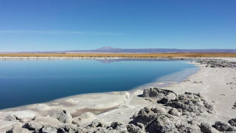 Cejar Lagoon, Eyes of the Salt Flat and Tebinquinche Lagoon - Lagoon Exploration