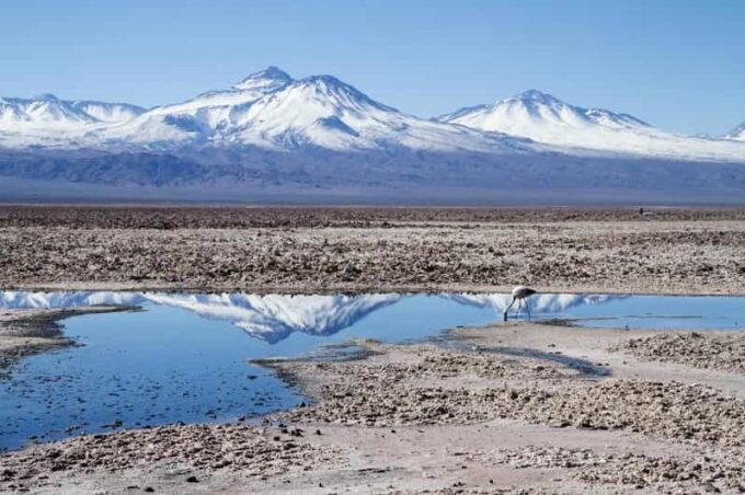 Cejar Lagoon, Eyes of the Salt Flat and Tebinquinche Lagoon - Frequently Asked Questions