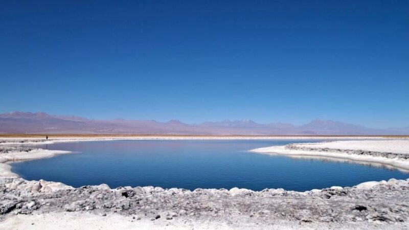Cejar Lagoon, Tebenquiche Lagoon, and Ojos Del Salar - Booking Information