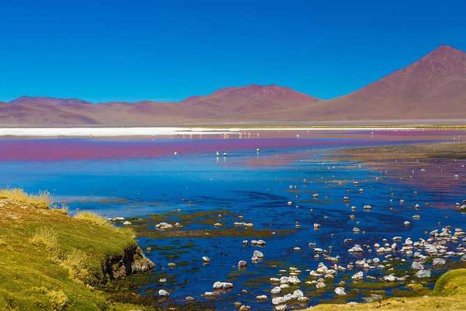 Cejar Lagoon, Tebinquiche Tour and Ojos Del Salar From San Pedro De Atacama - Tebenquiche Lagoon