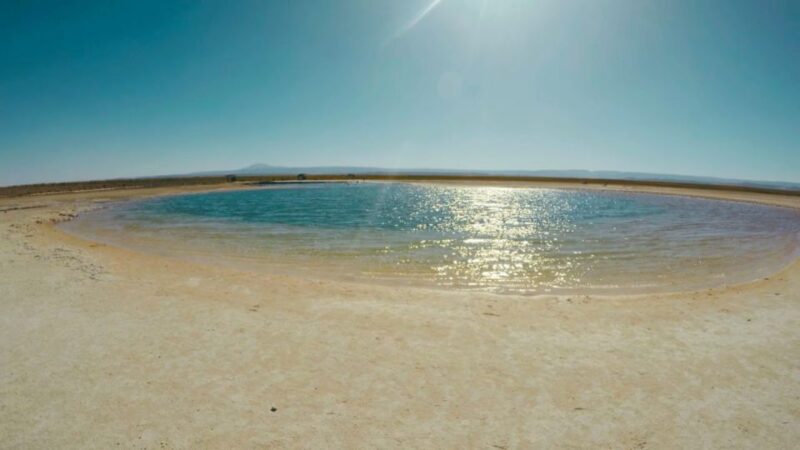 Cejar Lagoon Tour - Flotation, Cocktail & More! - Key Points