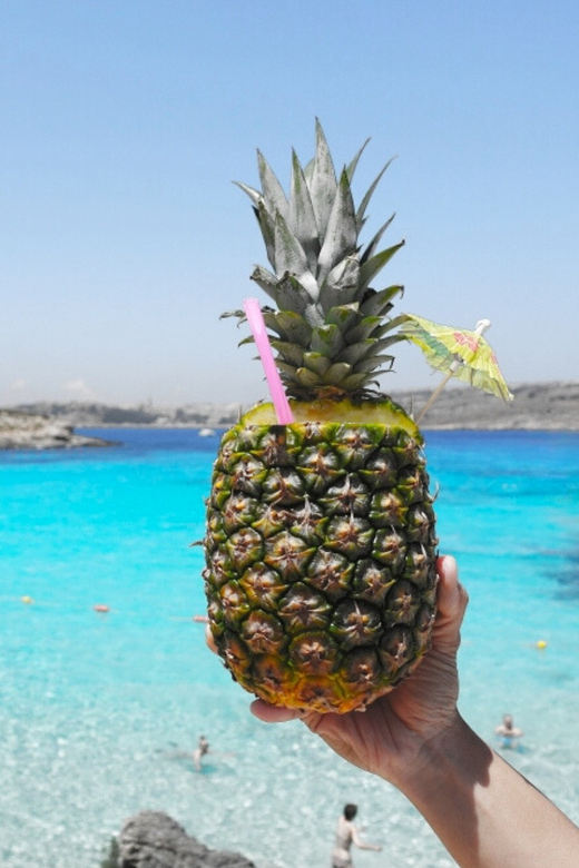 Celebration Sail - Lover's Cave, Comino, Gozo & Blue Lagoon - Cancellation and Modifications