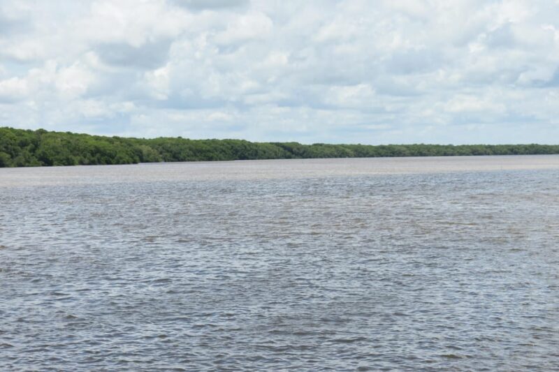 Celestun and Sisal Tour - Celestun Visit