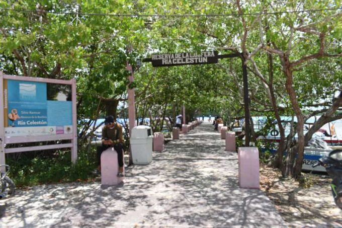 Celestun and Sisal Tour - Inclusions