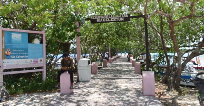 Celestun and Sisal Tour - Highlights