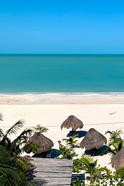 Celestun Beach and Mangrove Boat Ride Experience From Merida - Participant Restrictions